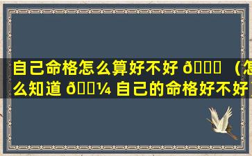 自己命格怎么算好不好 🐒 （怎么知道 🌼 自己的命格好不好）